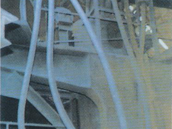 ����鿴��